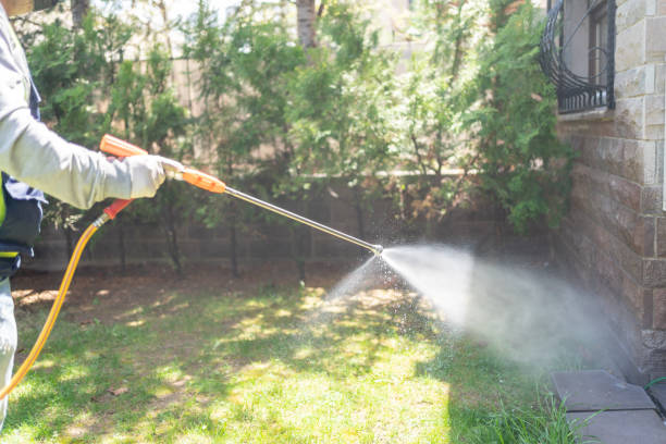 Best Fumigation Services  in Baldwin City, KS